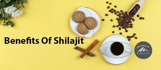 Benefits Of Shilajit Complete Step By Step Guide