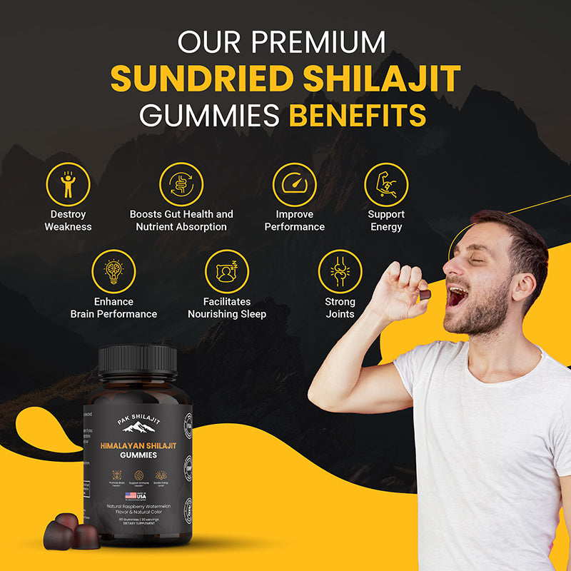 Sundried Himalayan Shilajit Gummies Made in USA