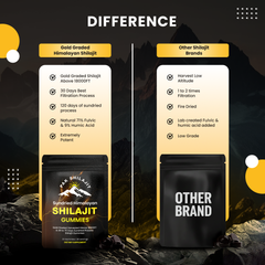 Sundried Himalayan Shilajit Gummies, Organic Premium Shilajit Gummies